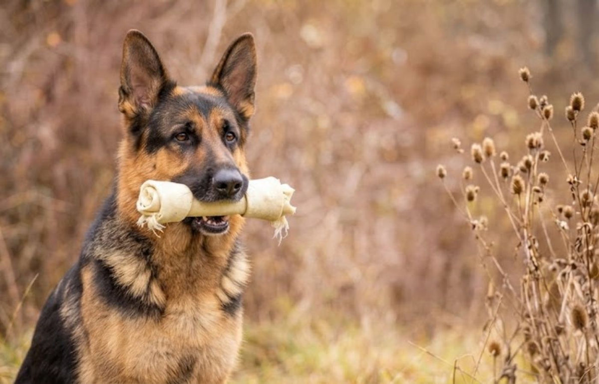 Natural rawhide alternative dog chews from Wag & Whistle
