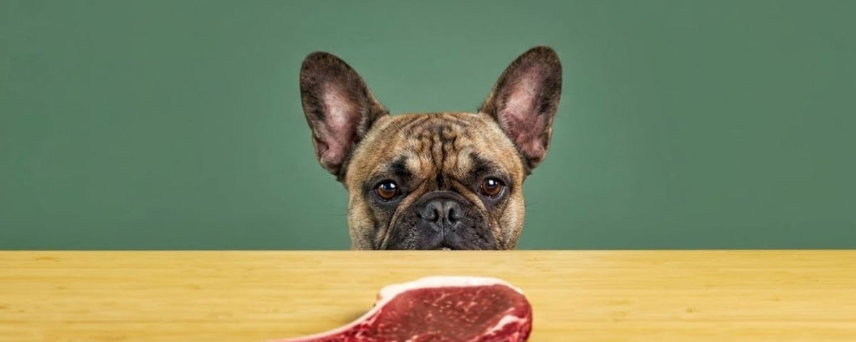 Natural beef dog treats and chews from Wag & Whistle
