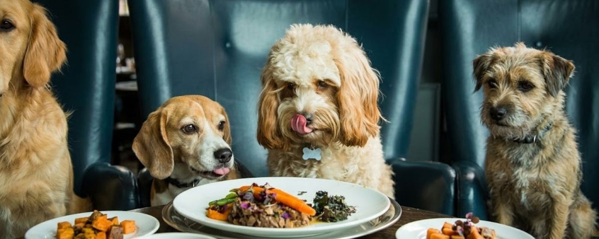 Gourmet natural dog treats from Wag & Whistle