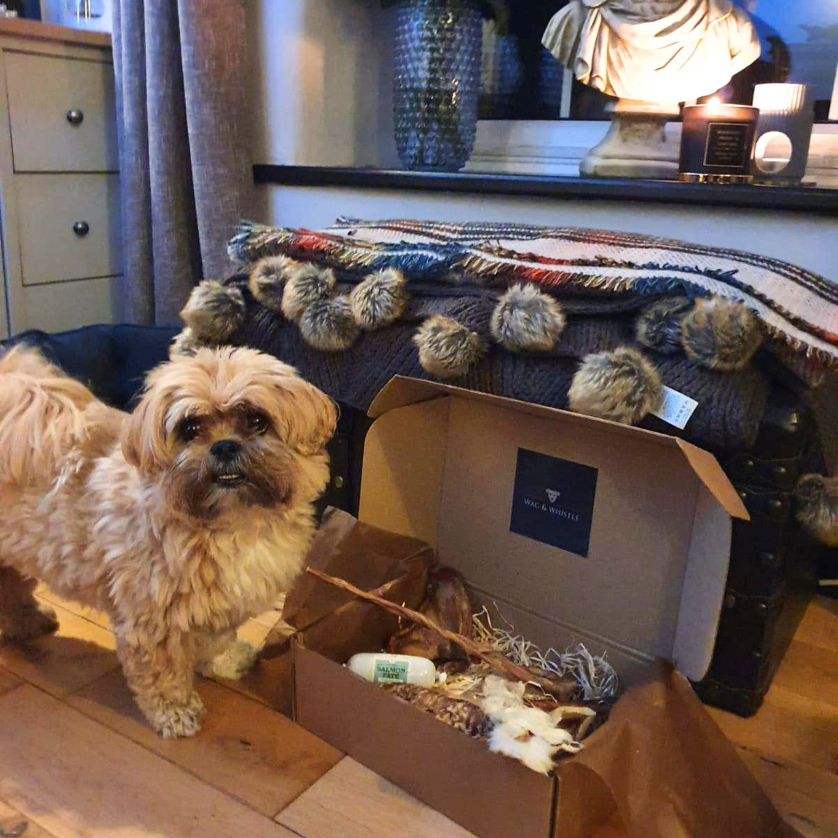A small dog next to an opened Wag & Whistle gift box of natural treats