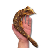 A large air-dried turkey neck dog chew held in a hand to show its size