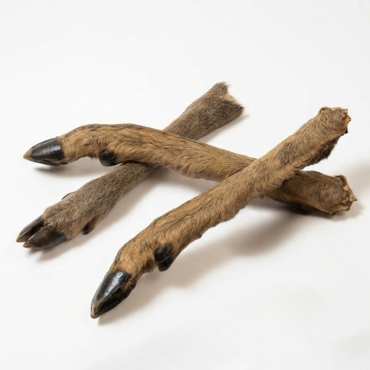 Three furry venison leg dog chews with the hooves left on, on a white background
