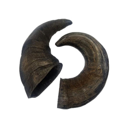Two natural buffalo horn dog chews on a white background
