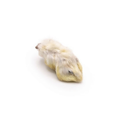 A single furry rabbit foot dog chew on a white background