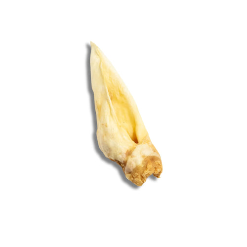 A single dried goat ear dog chew on a white background