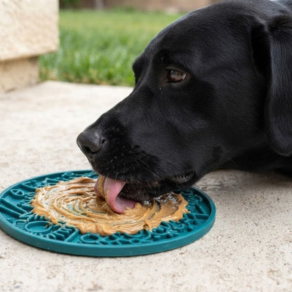 A black Labrador licking dog pate spread on a lick mat