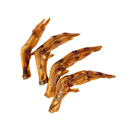 Four air-dried duck feet for dogs on a white background