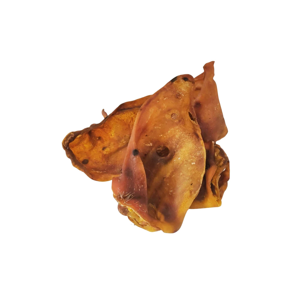 Large dehydrated pig ear dog chew