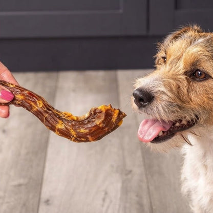 A hand offering a dried duck neck to a wire haired terrier in a kitchen