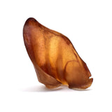 A single large pig ear dog chew on a white background