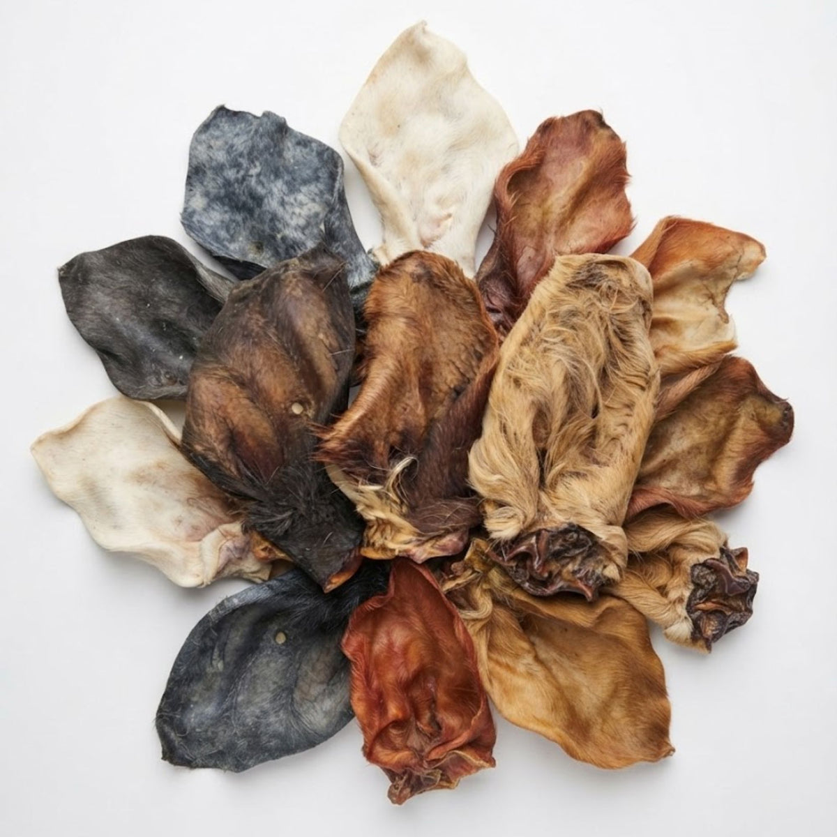 A pile of hairy cow ears for dogs, showing the natural variation in colour and fur
