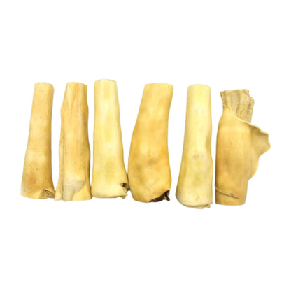 Six jumbo beef tail dog chews in a row on a white background
