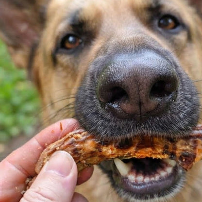 A close up of a German Shepherd taking a dried chicken neck from a hand in the garden
