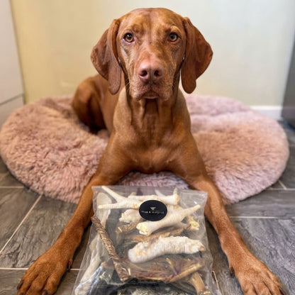 A Vizsla lying on its bed with a Wag & Whistle bag of mixed natural treats between its paws