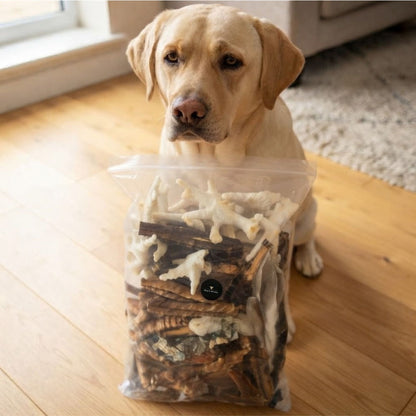 A yellow Labrador sitting behind a large Wag & Whistle bag of mixed natural dog treats