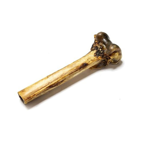 Air-dried ostrich metatarsus bone dog chew