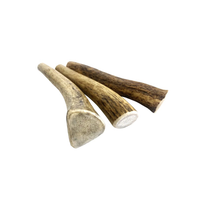 Naturally shed deer antler dog chew
