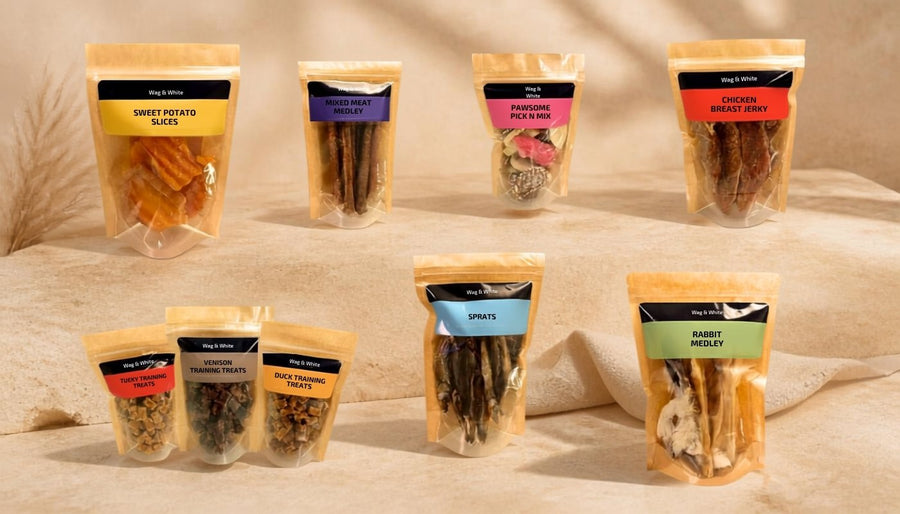 20% Off Your First Order