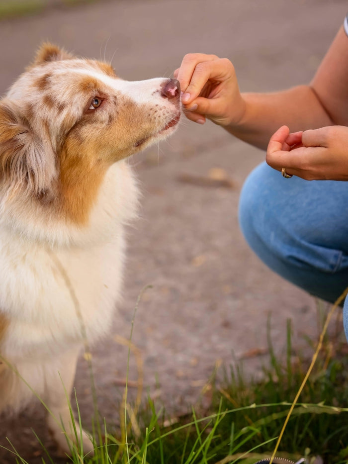 Hypoallergenic