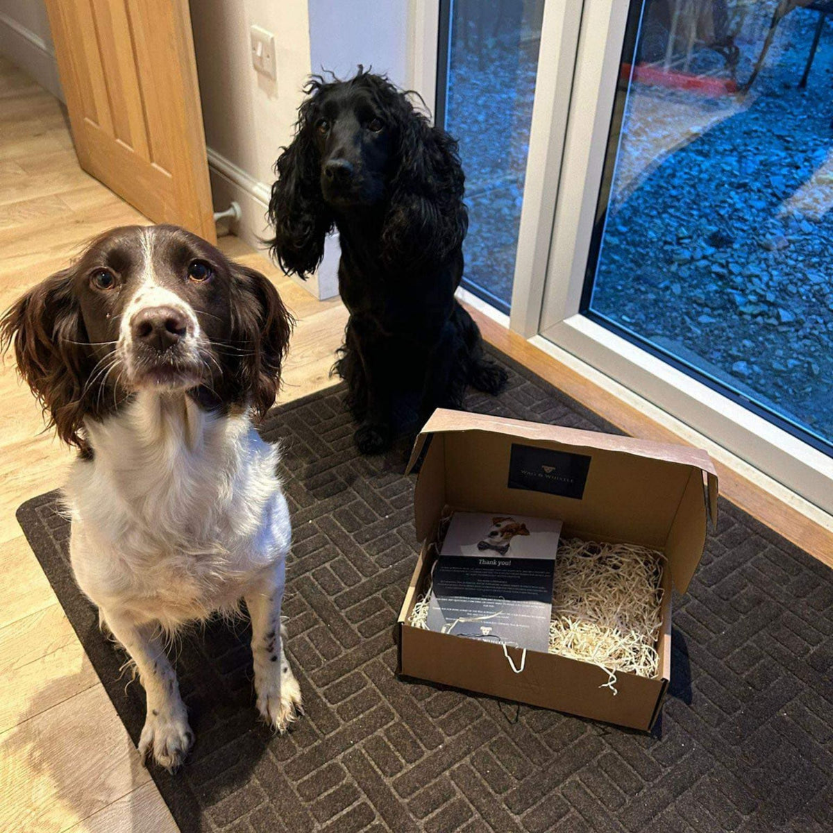 Join the Pack monthly dog treat subscription box from Wag & Whistle