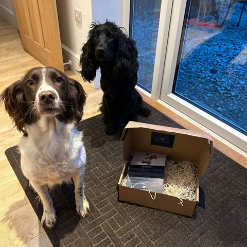 Join the Pack monthly dog treat box