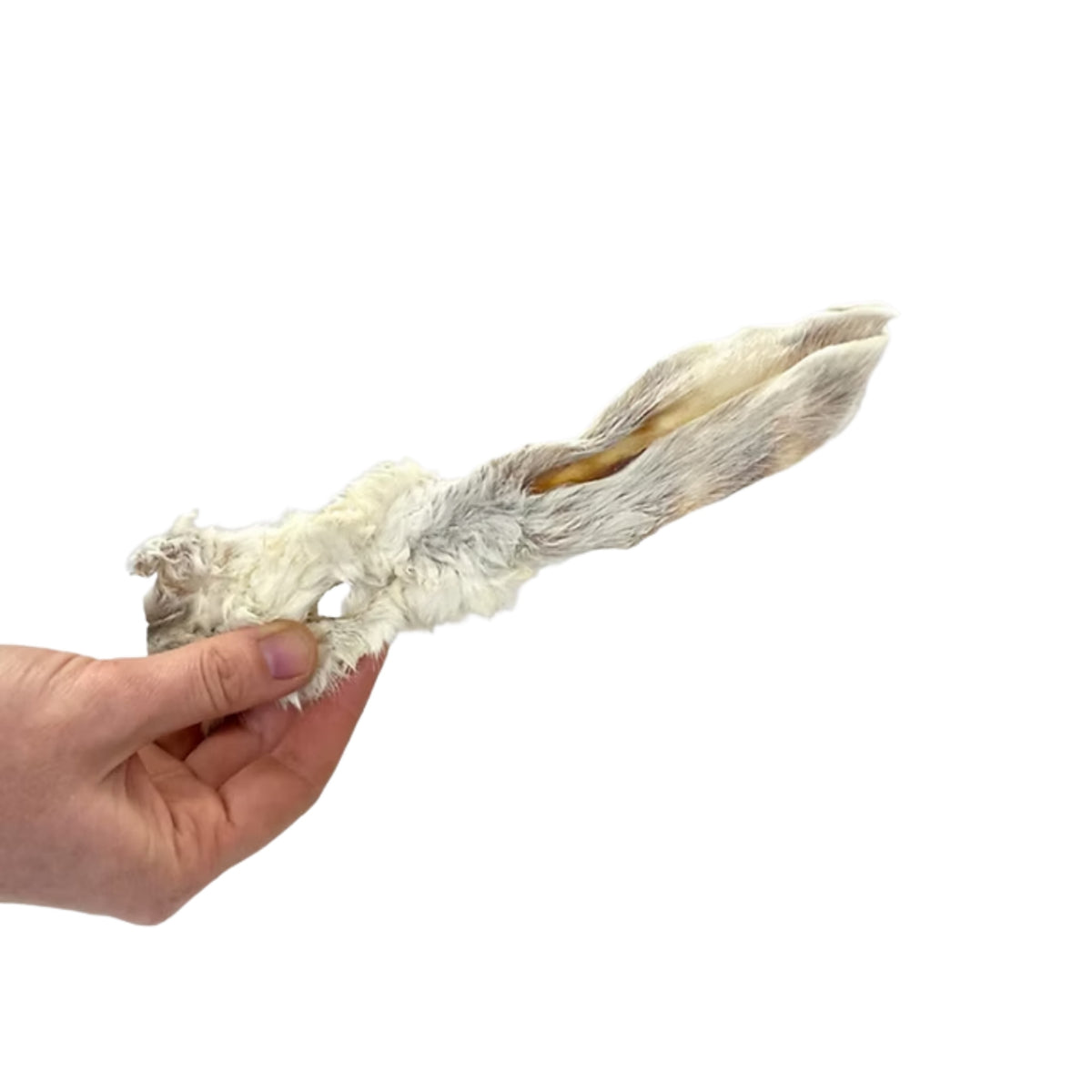 Furry rabbit ear dog chew with the fur left on