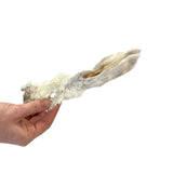 Furry rabbit ear dog chew with the fur left on